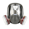 Dual Cartridge Anti-Fog Panoramic Lens Reusable Full Face Respirator Gas Mask Set for Spray Painting Chemical Laboratory